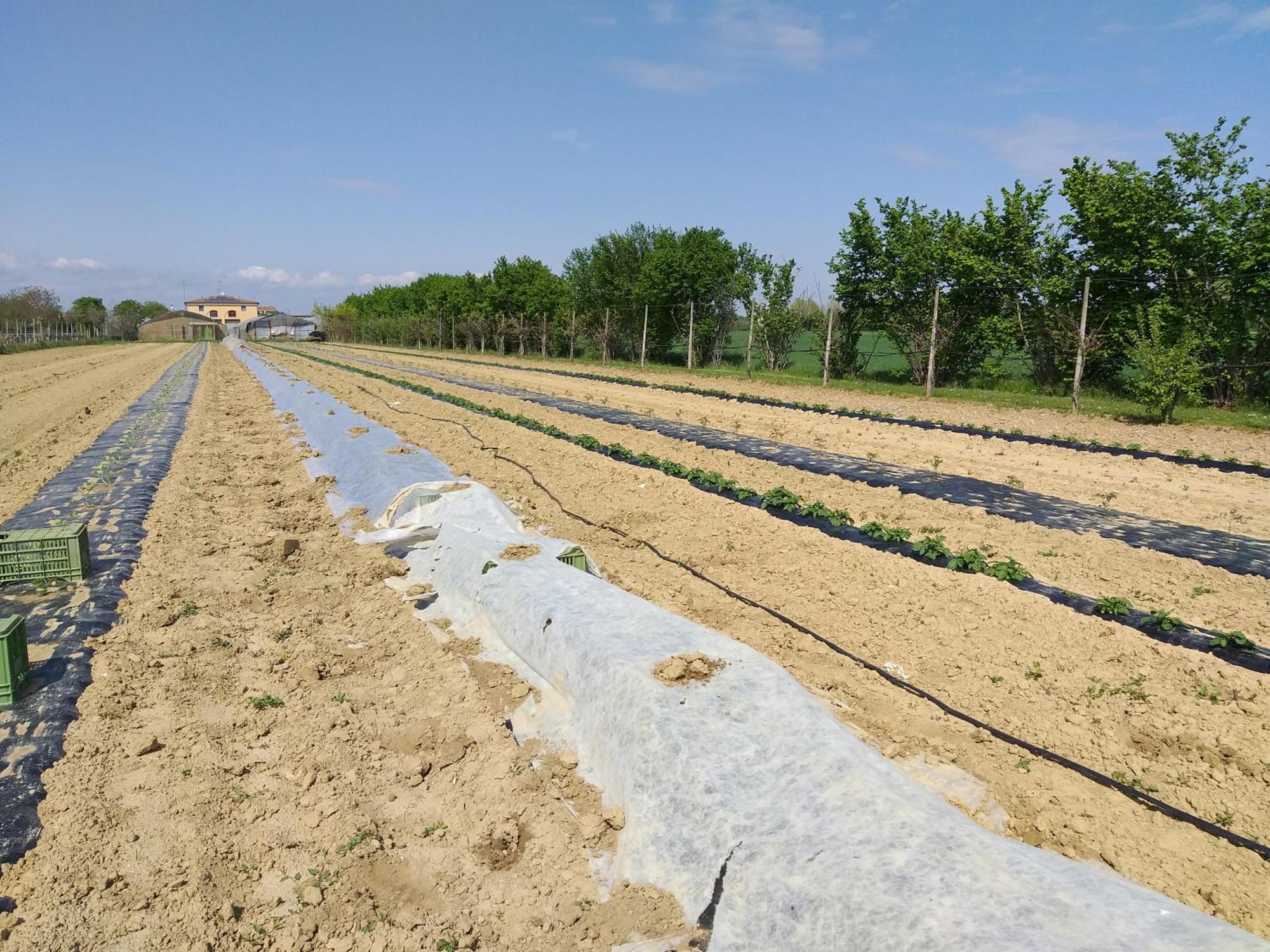 Agriturismo Il Melograno Tessera Exteriér fotografie